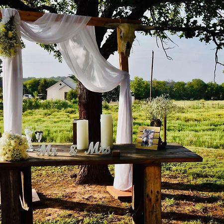 Beautiful Farmhouse W/ Pool On 6 Acres Ranch Aubrey Buitenkant foto