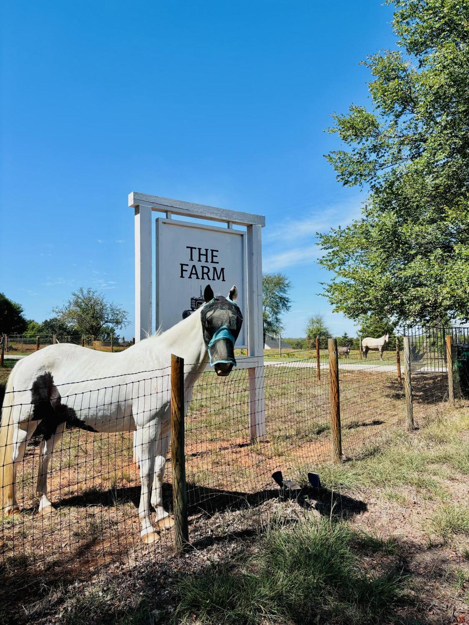 Beautiful Farmhouse W/ Pool On 6 Acres Ranch Aubrey Buitenkant foto